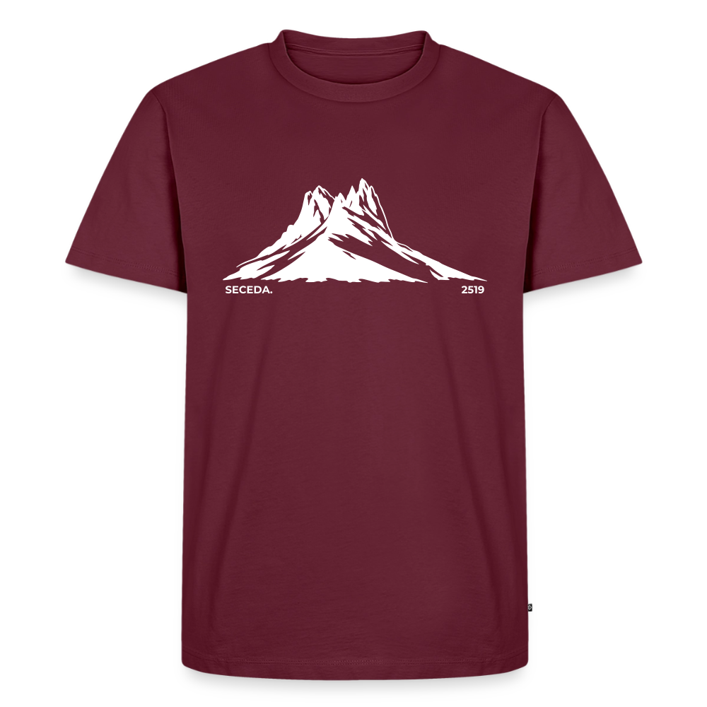 Seceda. | Temni toni - burgundy