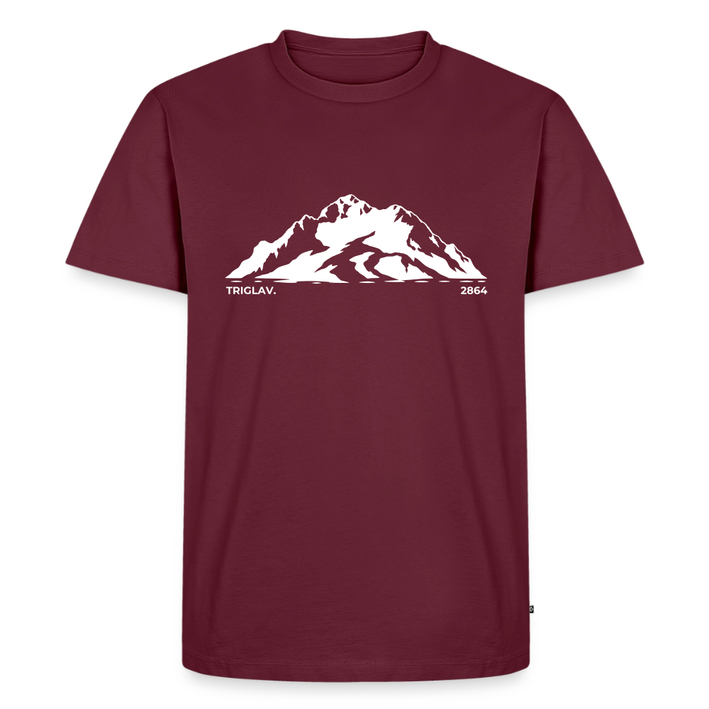 Triglav. | Temni toni - burgundy