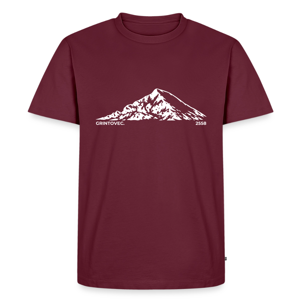 Grintovec. | Temni toni - burgundy