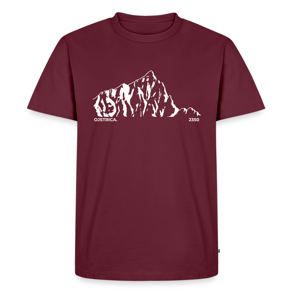 Ojstrica. | Temni toni - burgundy