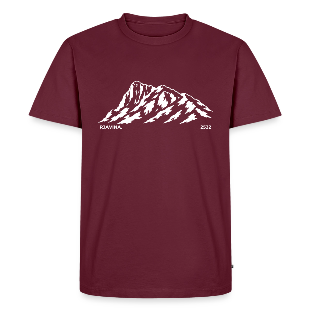 Rjavina. | Temni toni - burgundy