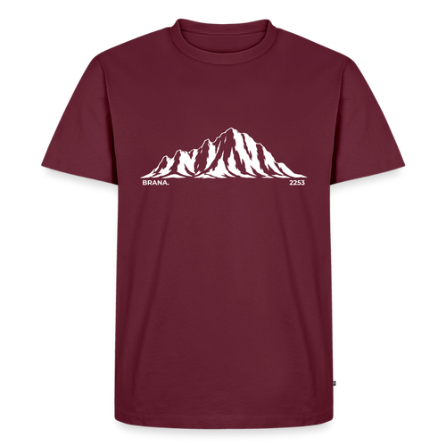 Brana. | Temni toni - burgundy