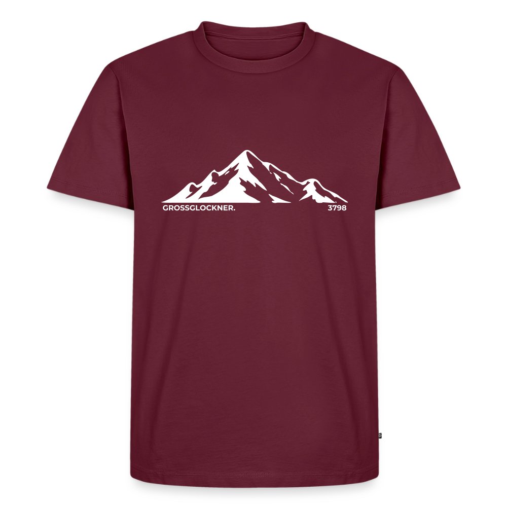 Grossglockner. | Temni toni - burgundy