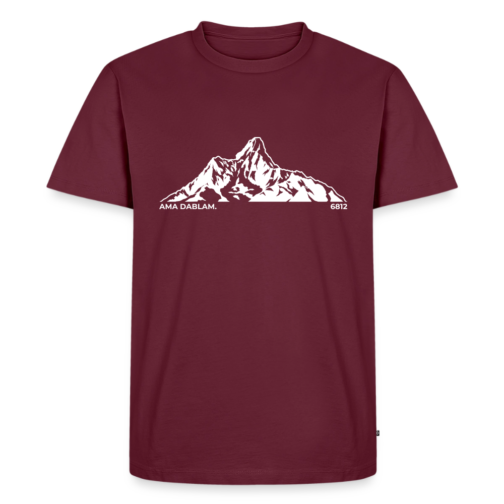 Ama Dablam. | Temni toni - burgundy