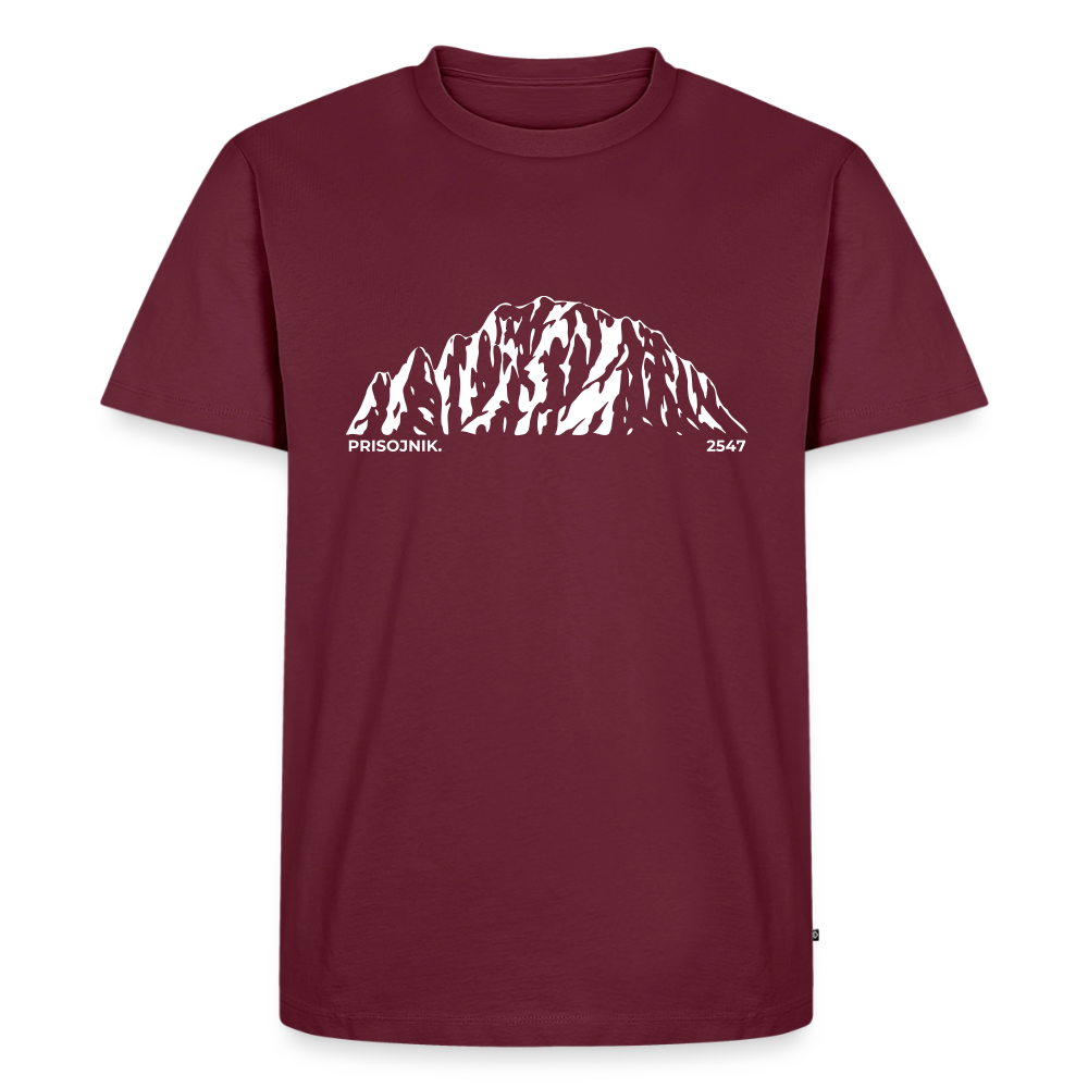 Prisojnik. | Temni toni - burgundy