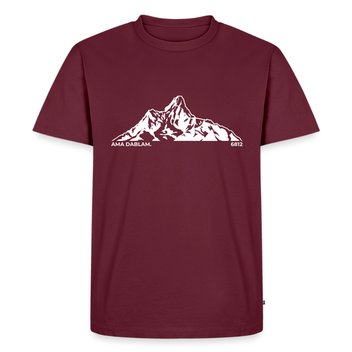 Ama Dablam. | Temni toni - burgundy