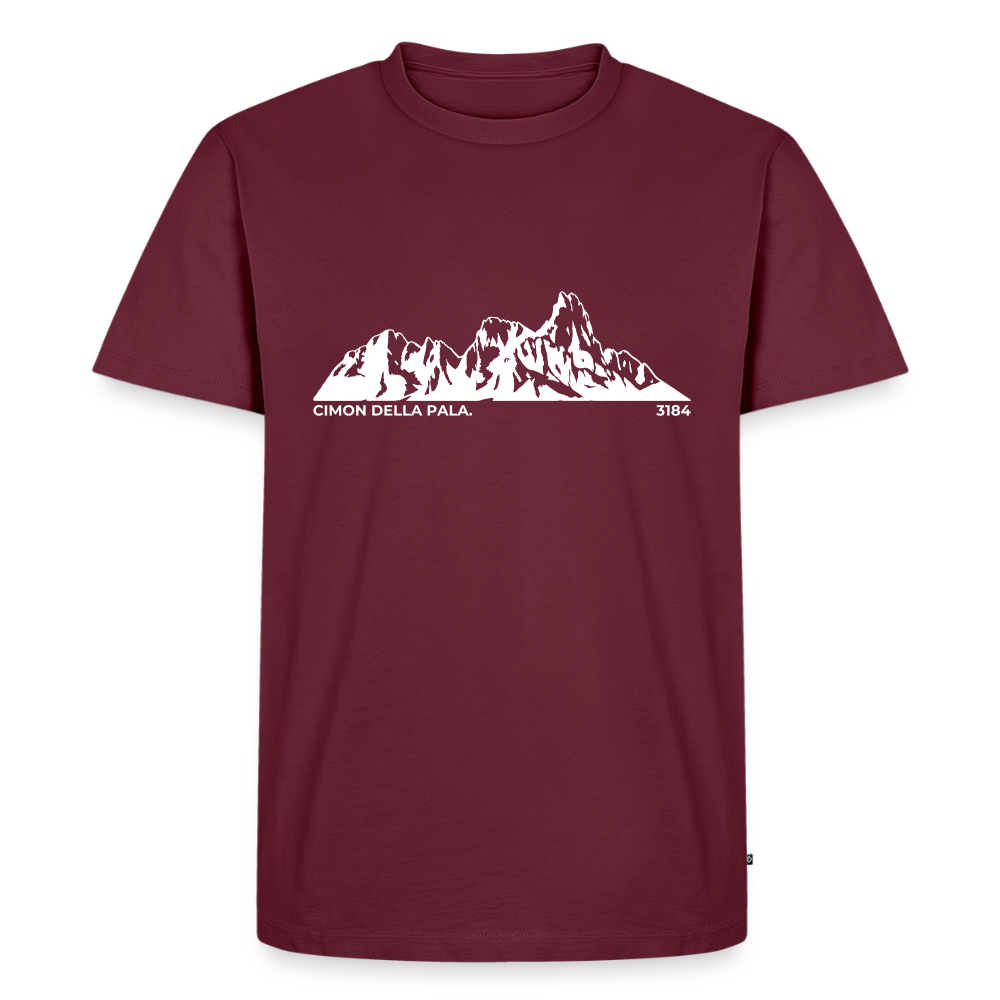 Cimon della Pala. | Temni toni - burgundy