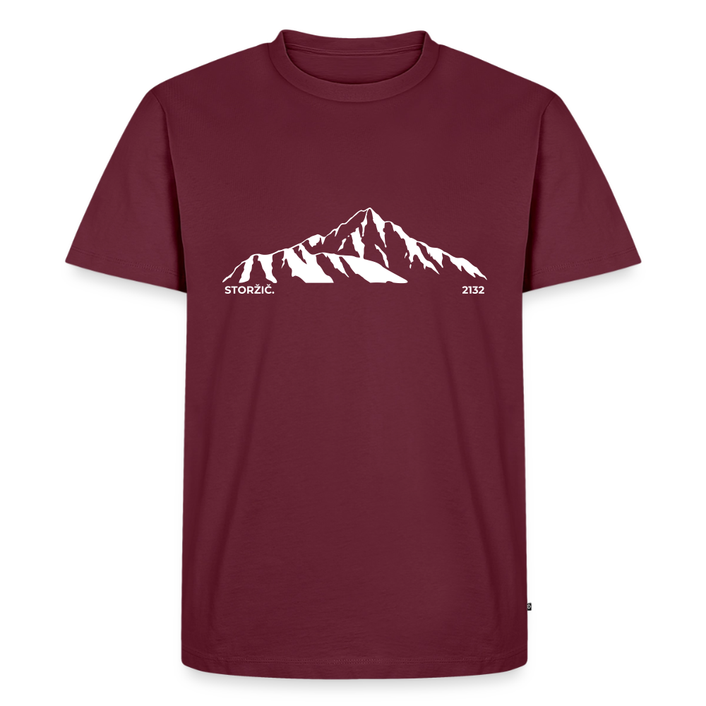 Storžič. | Temni toni - burgundy
